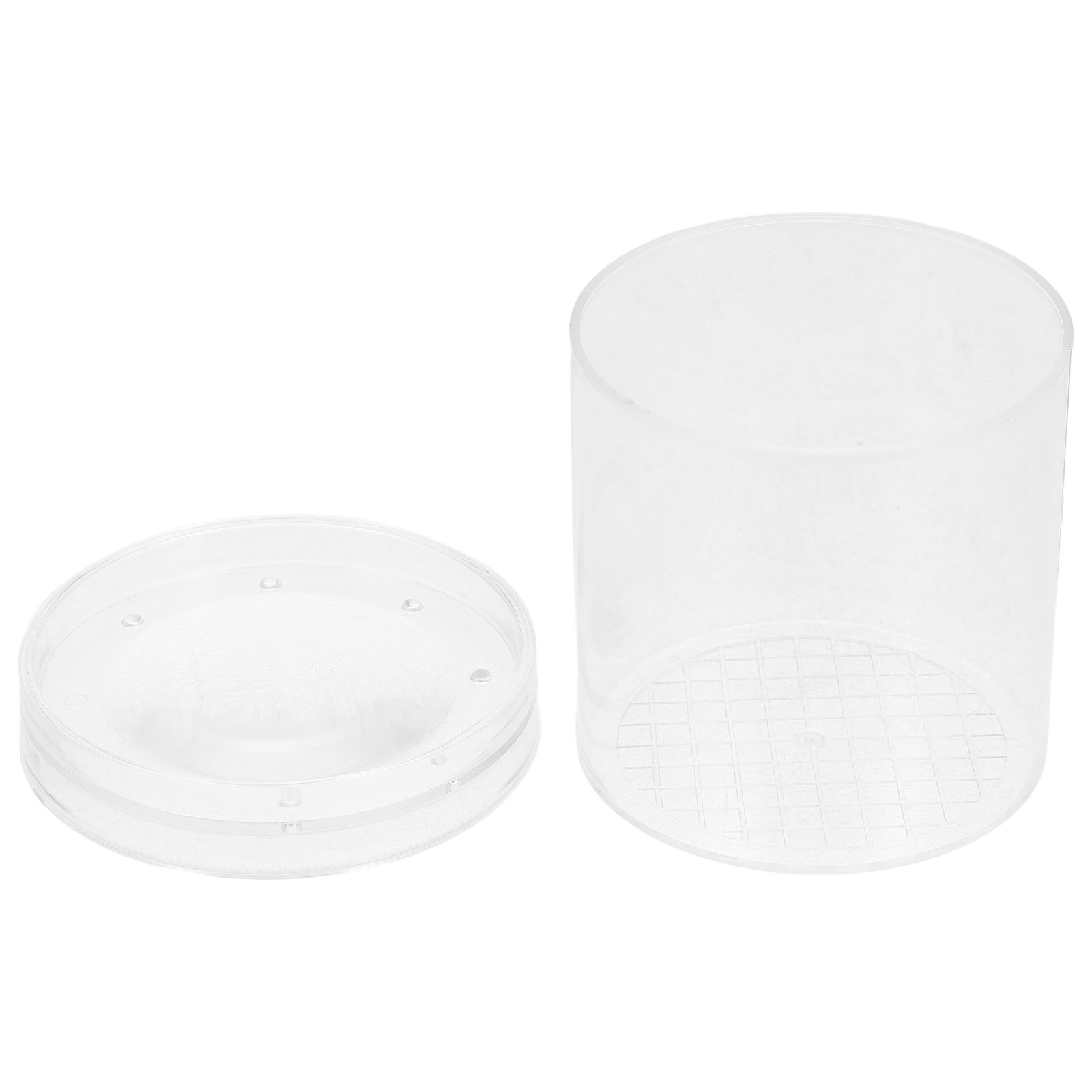 3X Magnifying Insect Observati - đánh giá và giá Science Toys