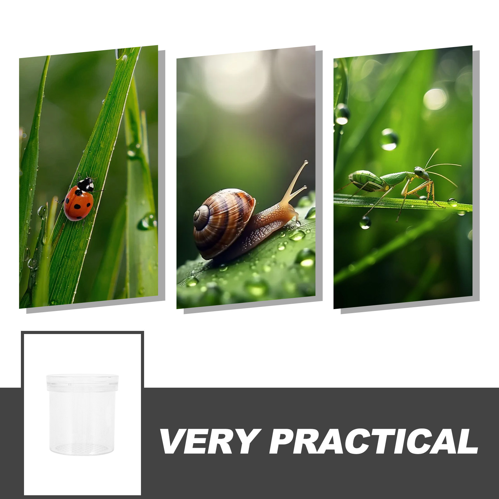 3X Magnifying Insect Observati - đánh giá và giá Science Toys