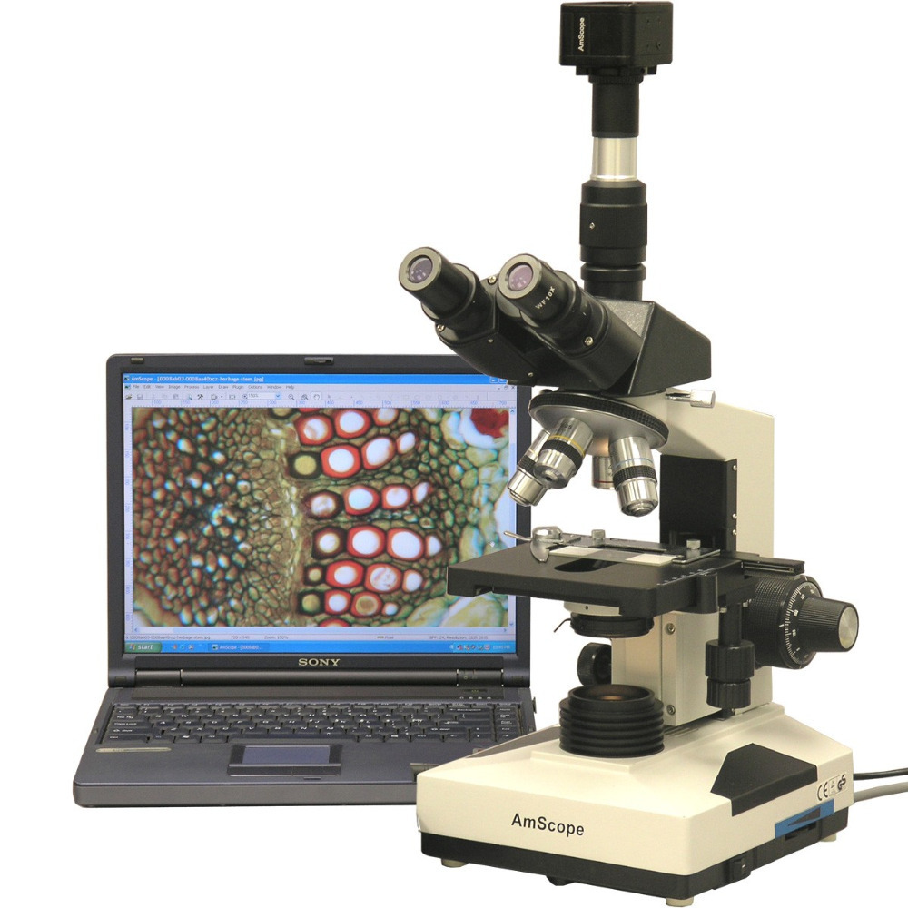 AmScope Simul-Focal Biological - đánh giá và giá Microscope Compound 40X